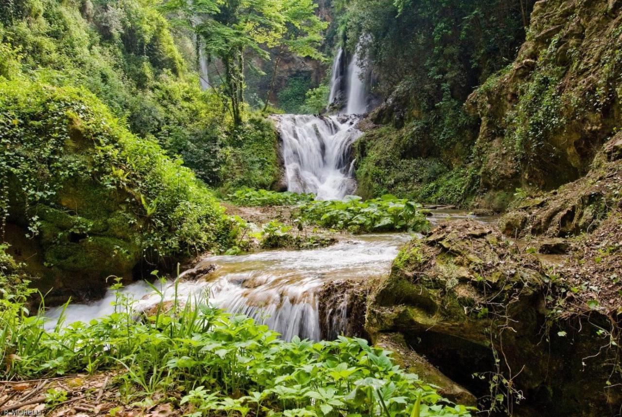 Idria Hotel Tivoli Bagian luar foto